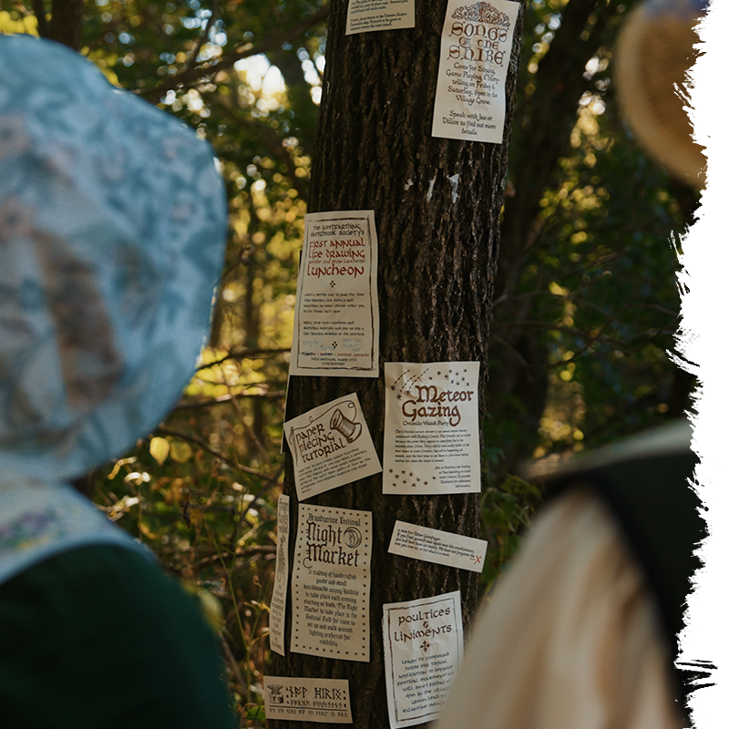 Tree trunk with various papers attached, surrounded by greenery